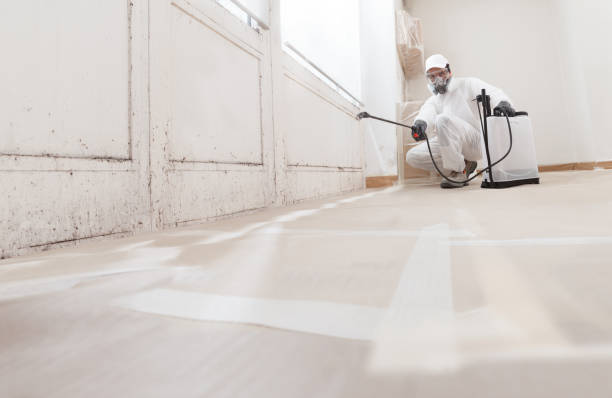 24/7 Emergency Mold Remediation experts in Worcester, PA